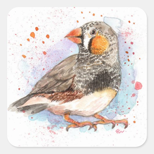 Sticker Carré Zebra Finch (Devant)