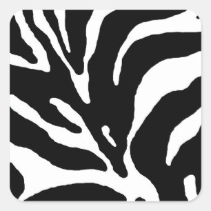 Sticker Carré Zebra Stripe Poster de animal
