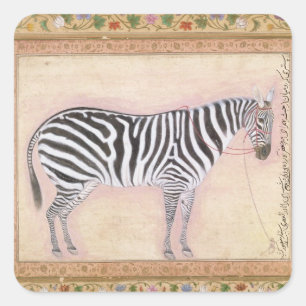 Sticker Carré Zèbre, du "album de Minto", 1621 (gouache sur la