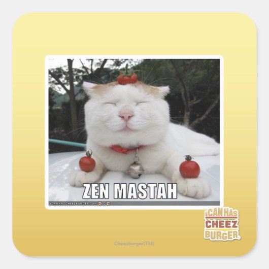 Sticker Carré Zen Mastah (Devant)