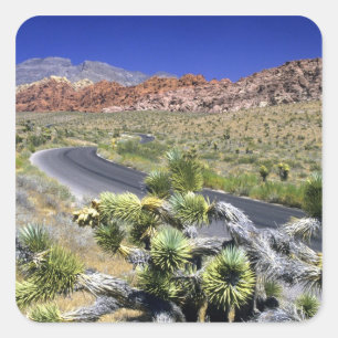 Sticker Carré Zone nationale de conservation de Red Rock Canyon,