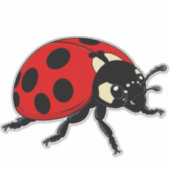 Sticker Cartoon Red Ladybug Cute Insect Character (Devant)