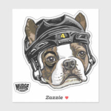 Casque de hockey Terrier de Boston 4