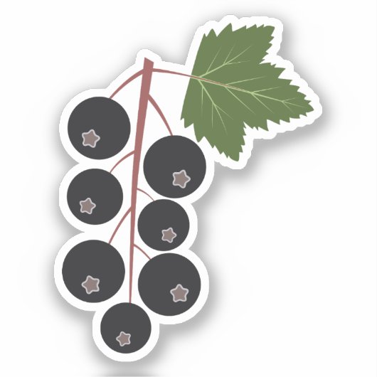 Sticker Cassis (Recto)