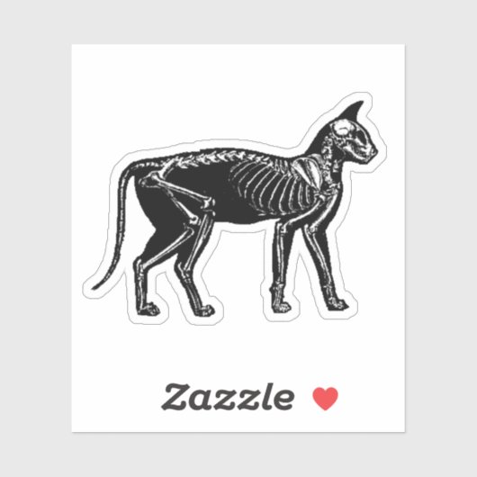 Sticker Cat Skeleton (Feuille)