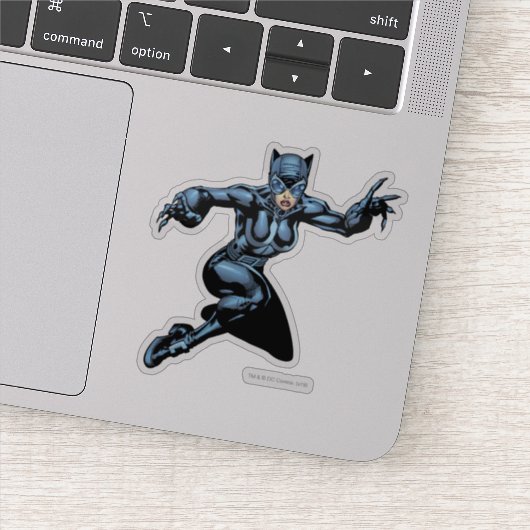 Sticker Catwoman avec des lois (Détail)