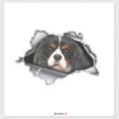 Sticker Cavalier King Charles car decal, Cavalier King (Feuille)