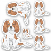 Sticker Cavalier King Charles Spaniel Blenheim Chien Assis (Devant)