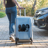 Sticker Cavalier King Charles Spaniel Chien Chien Chien Ch (Valise Insitu)