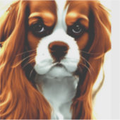 Sticker cavalier roi charles spaniel blenheim anime (Devant)