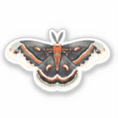 Sticker Cecropia Moth (Recto)