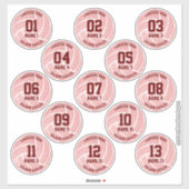 Sticker ceinture rose de 13 volleyball (Feuille)