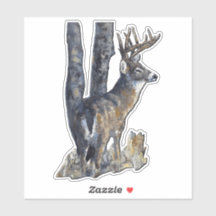 Cerf de Virginie 