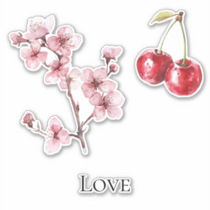 Sticker Cerises Fleur de Cerisier Amour