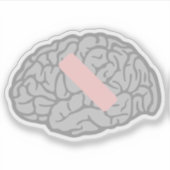 Sticker Cerveau - Ache (Devant)