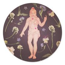 Sticker Chakras
