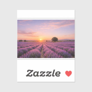 Sticker Champ de lavande en fleurs au coucher de soleil do
