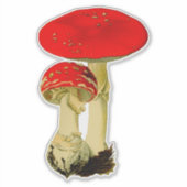 Sticker Champignons (Devant)