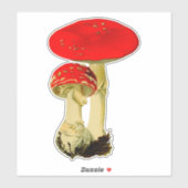 Sticker Champignons (Feuille)