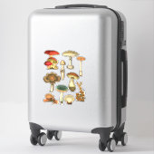 Sticker Champignons Champignons Jardin botanique Plante (Sur valise)