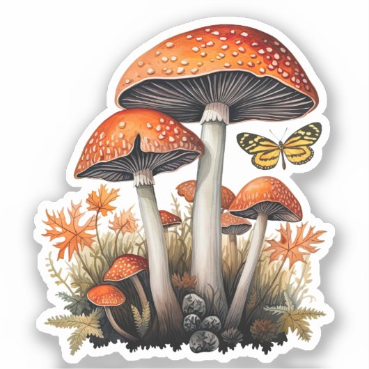Sticker Champignons de bois orange d'automne (Recto)
