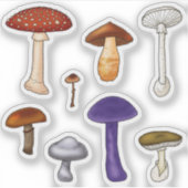 Sticker Champignons Empoisonnés (Devant)