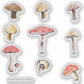 Sticker Champignons Illustrés à la Main Forêt Enchantée et (Devant)