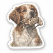 Sticker Chasse au Bécasse avec Épagneul Breton (Recto)