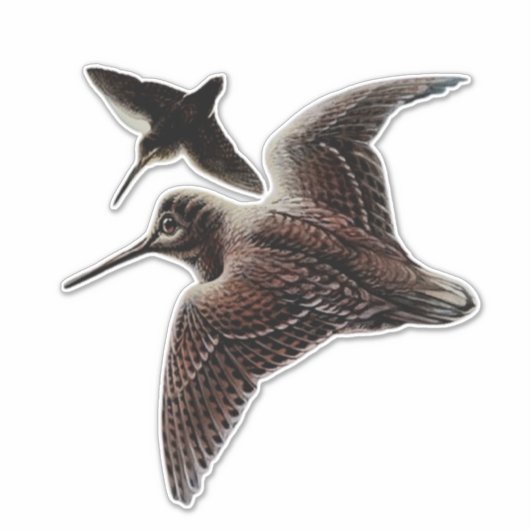 Sticker Chasse au bois (Devant)