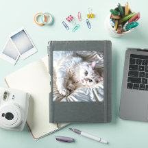 Chat à ragdoll blanc