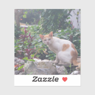 Sticker Chat assis sur une rouble de pierres
