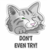 Sticker Chat couché N'essayez même pas! (Devant)