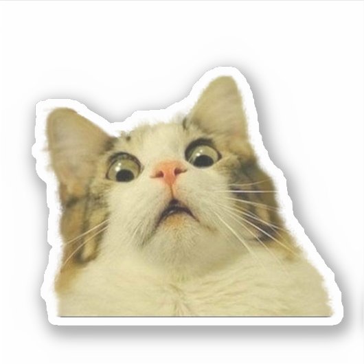 Sticker Chat drôle (Devant)