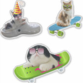 Sticker Chat Drôle Sur Skateboard (Devant)