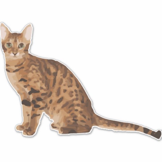 Sticker Chat du Bengale (Devant)