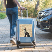 Sticker Chat égyptien - Bastet sur le papyrus (Valise Insitu)