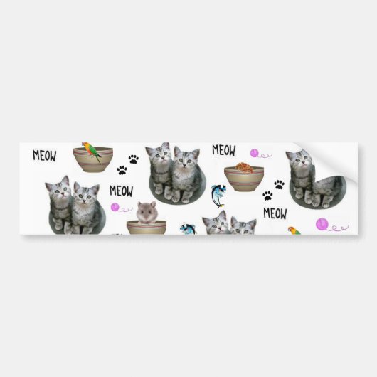 Sticker Chat Kittens Meow (Devant)
