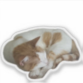 Sticker Chat mignon avec cœur brisé (Devant)