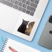 Sticker Chat noir qui décroche (Ordinateur portable avec iPhone)