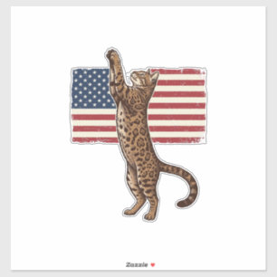 Sticker Chat patriotique Drapeau américain Design vectorie
