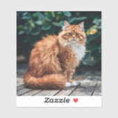 Sticker Chat perse orange (Feuille)