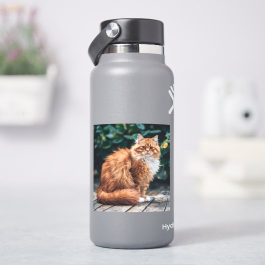 Sticker Chat perse orange (HydroFlask)
