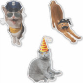 Sticker Chat Portant des lunettes de soleil (Devant)