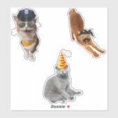 Sticker Chat Portant des lunettes de soleil (Feuille)