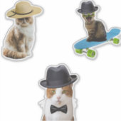 Sticker Chat Portant un Casquette (Devant)