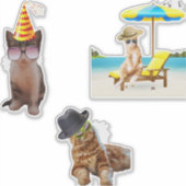 Sticker Chat Sur La Plage (Devant)