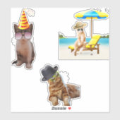 Sticker Chat Sur La Plage (Feuille)