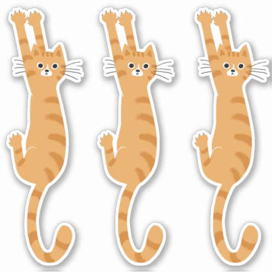 Sticker Chat Tabby Orange Accroché | Drôle chat rayé (Devant)