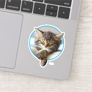 Sticker Chaton dormant