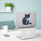 Sticker Chaton noir et blanc Tuxedo assis et regardant (Ordinateur portable sur le bureau)